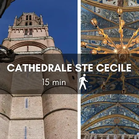 Le Tarnais Minimaliste - Netflix - Clim - Parking Prive - Gare