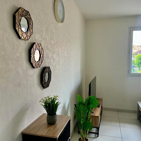 Apartment Le Tarnais Minimaliste - Netflix - Clim - Parking Prive - Gare *