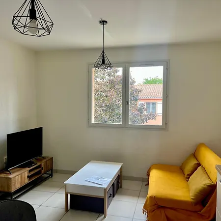 Apartment Le Tarnais Minimaliste - Netflix - Clim - Parking Prive - Gare Albi
